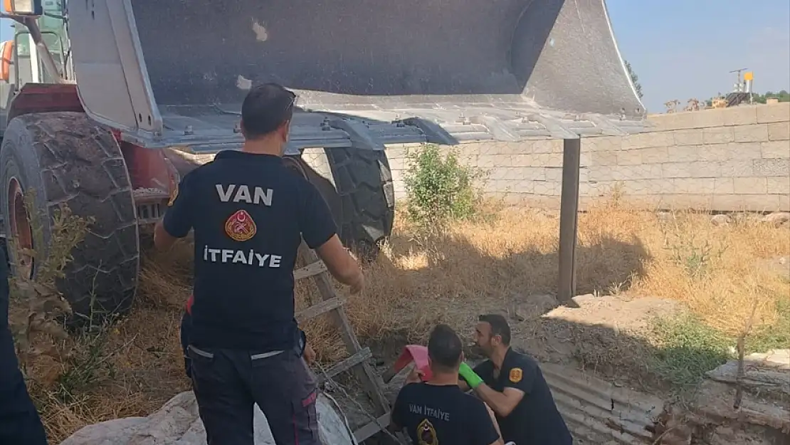 Van'da çukura düşen ineği itfaiye ekipleri kurtardı