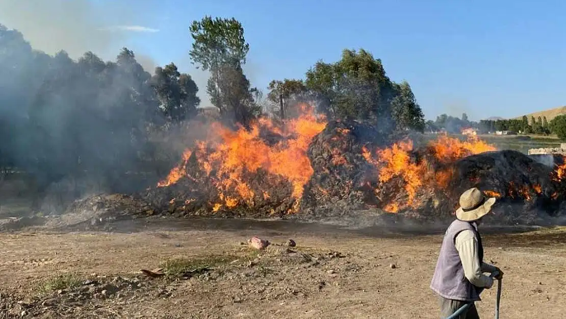 Van'da 4 bin bağ ot alev alev yandı