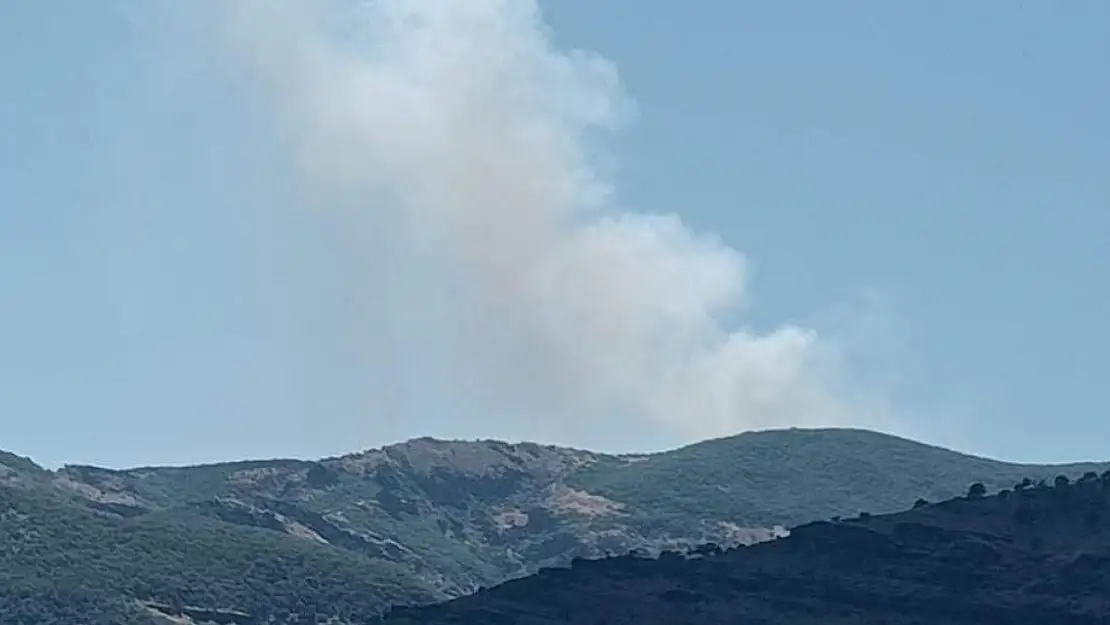 Tunceli'de orman yangını