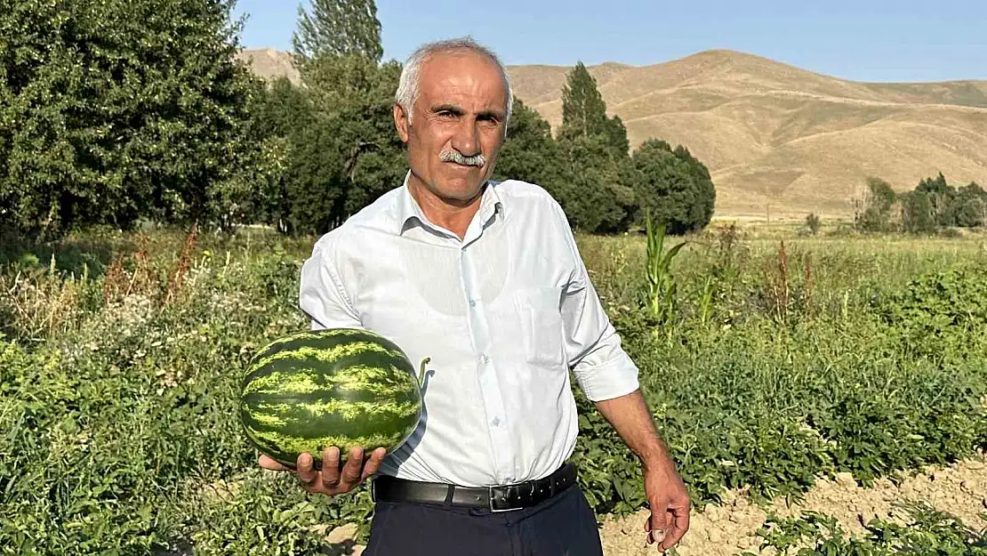 Diyarbakır karpuzuna Hakkari'den rakip