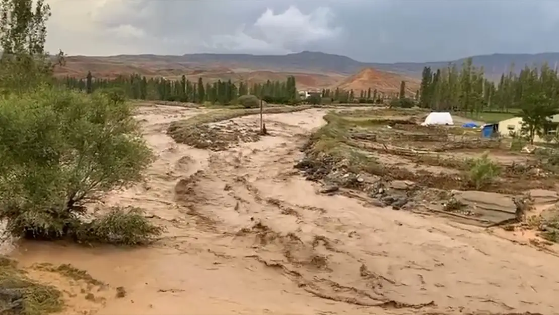 Kars'ta sel meyve bahçelerini vurdu
