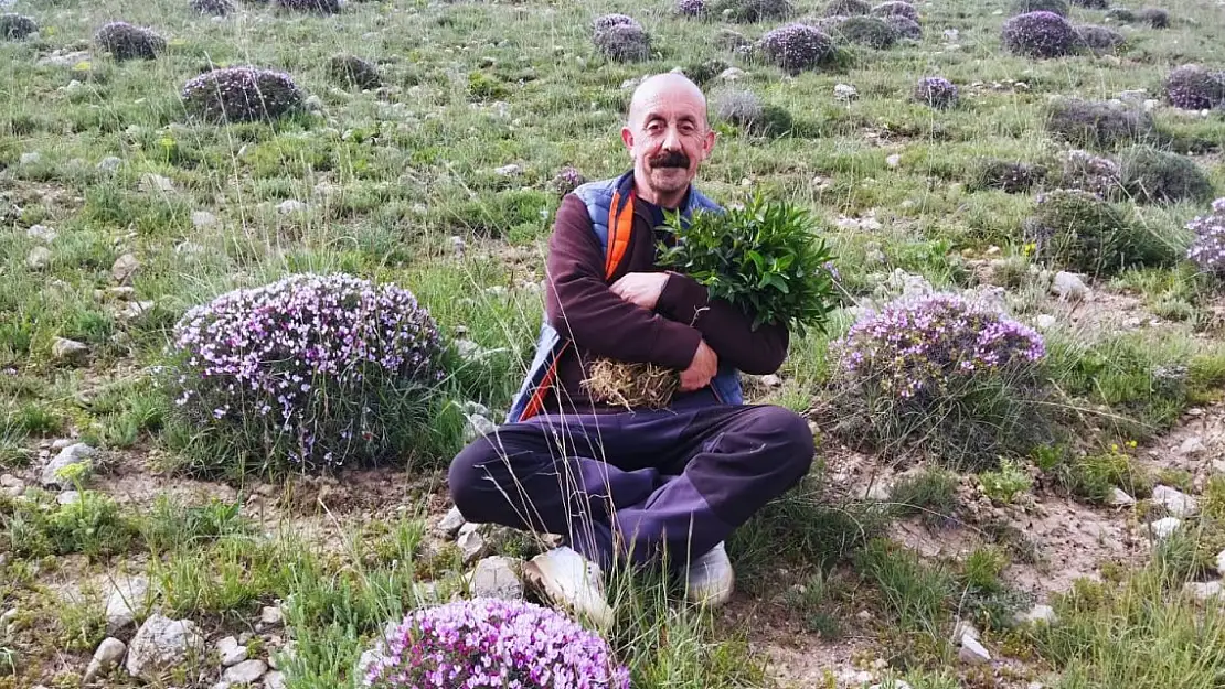 Doğubayazıt'ın Doğal Güzellikleri Koruma Altına Alınmayı Bekliyor