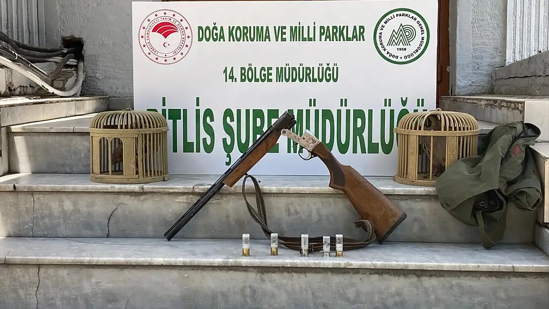 Bitlis'te keklik avlayan kişiye ceza yağdı