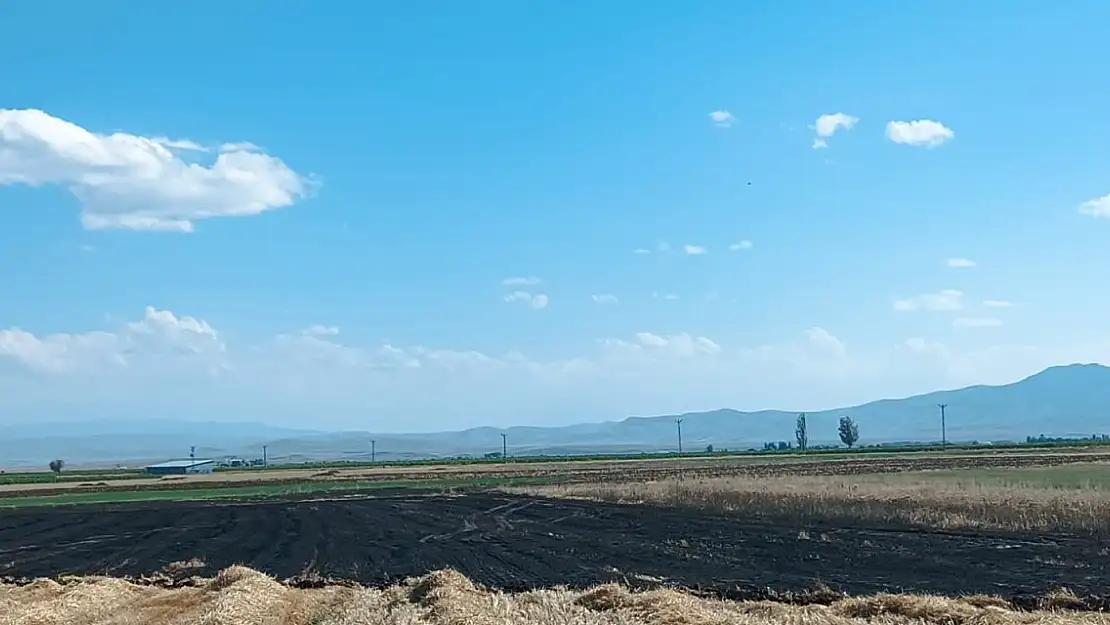 Bilinçsizce Yakılan Anızlar Canlıların Yaşamını Tehdit Ediyor