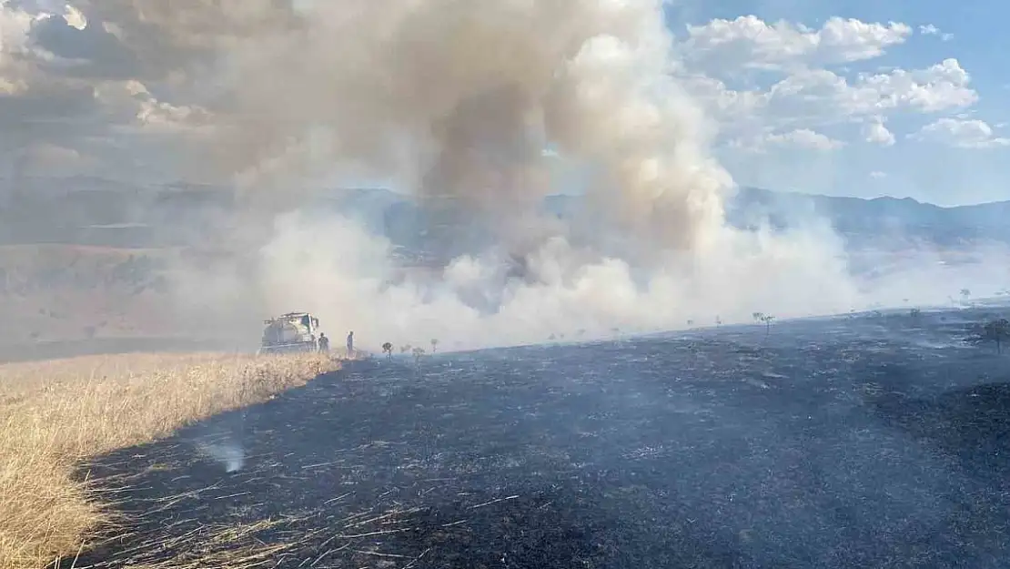 Bingöl'de çıkan orman yangını evlere sıçramadan söndürüldü