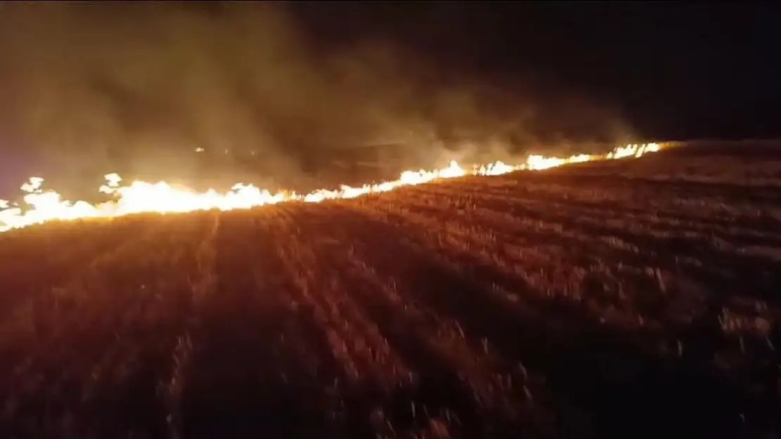 Ağrı'da 3 bin dönümlük tarla küle döndü