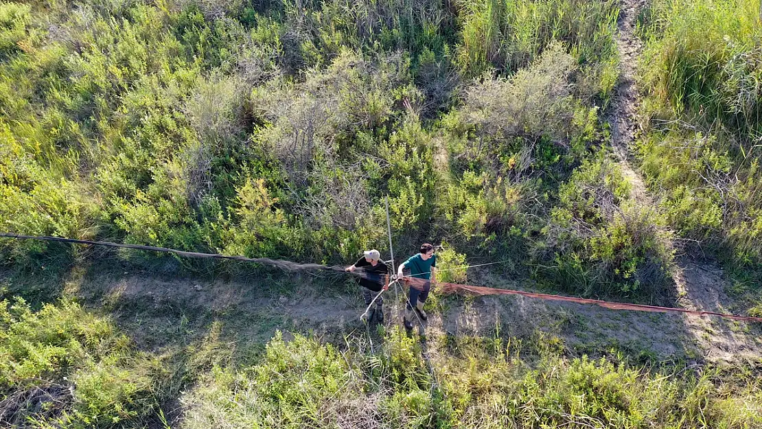 Iğdır'daki Aras Kuş Cenneti'nde 2 haftada 1100 kuş halkalandı