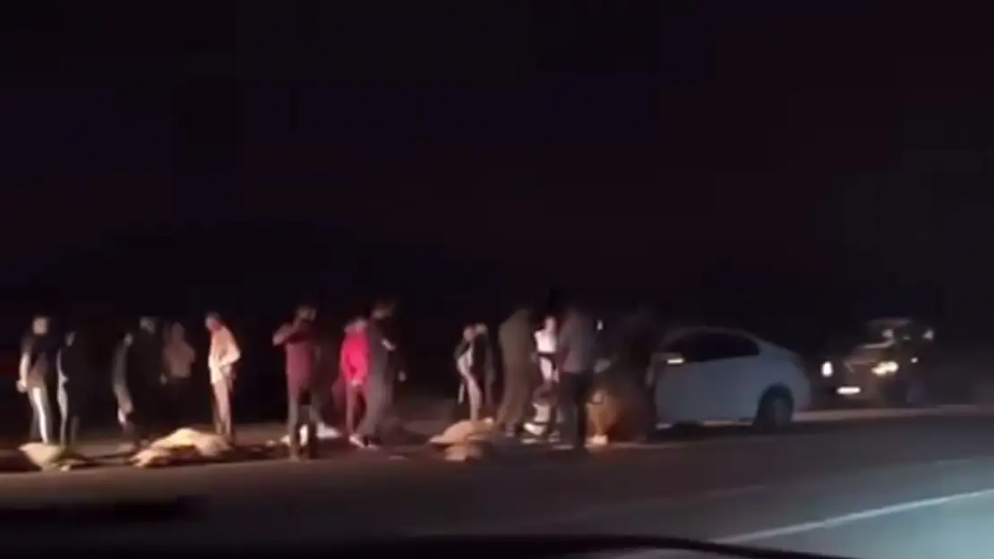 Van'da otomobil sürüye girdi: 21 koyun telef