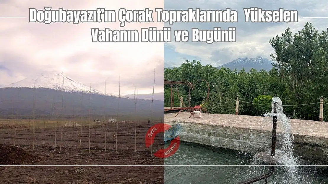 Doğubayazıt'ın Çorak Topraklarında Yükselen Vahanın Dünü ve Bugünü