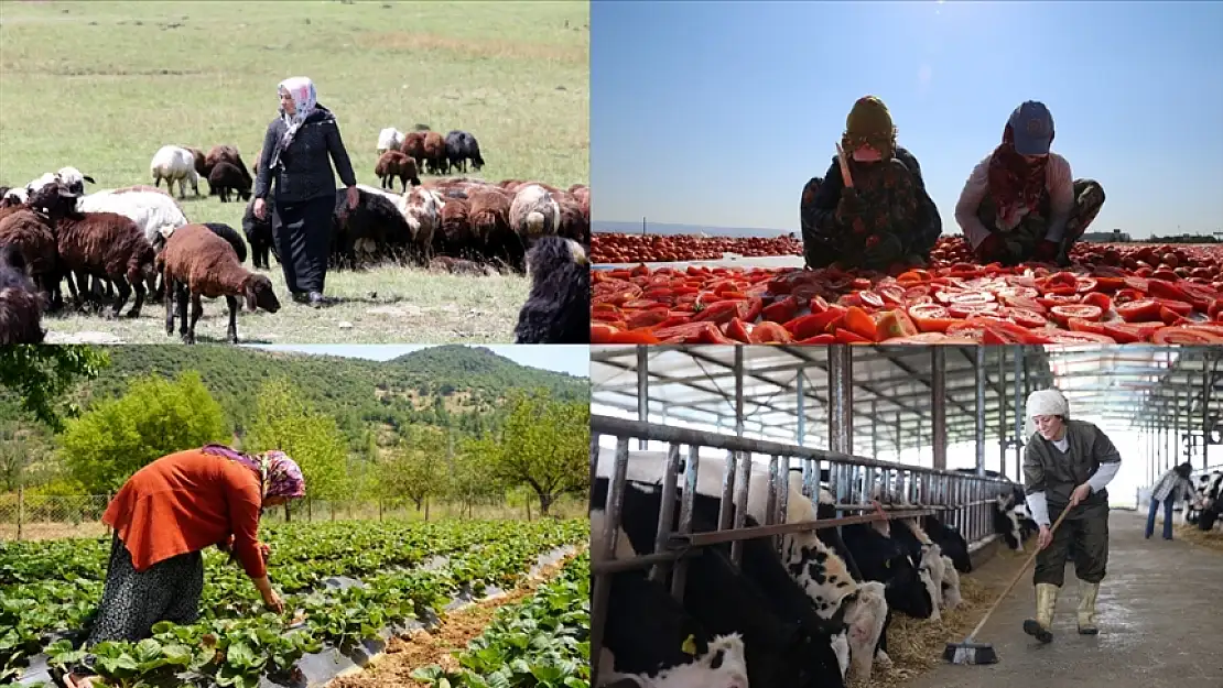 Gençlere ve kadınlara devlet destekleriyle kırsalda üretiminde büyük destek