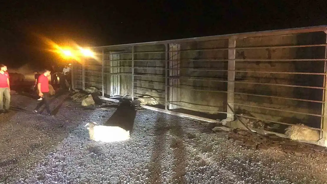 Bitlis'te devrilen tırdaki 63 koyun telef oldu