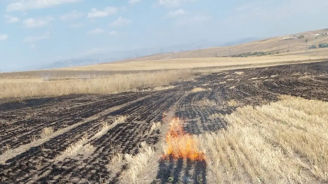 Ağrı'nın 3 Köyünde Anız Yangını Çıktı