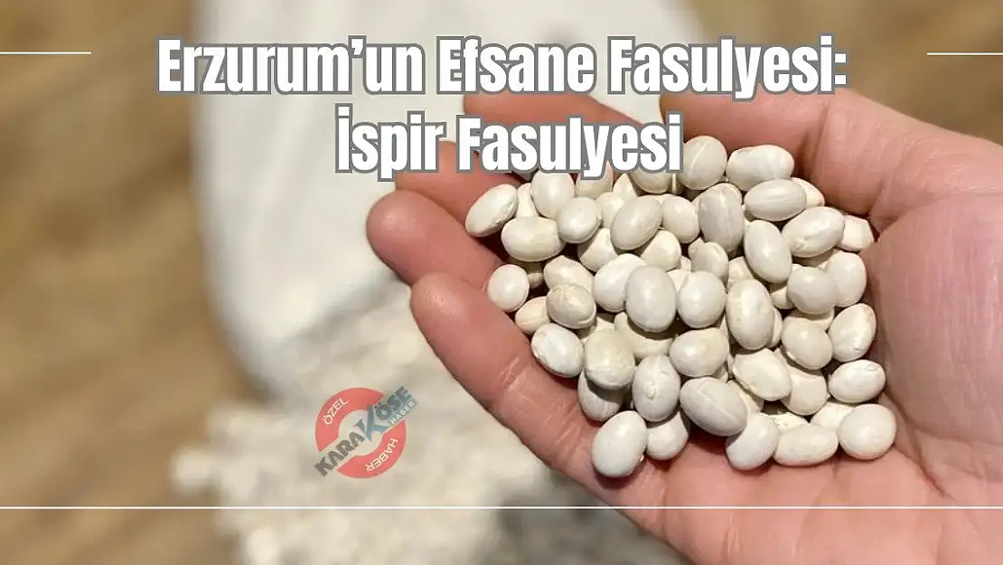 Erzurum'un Efsane Fasulyesi: İspir Fasulyesi