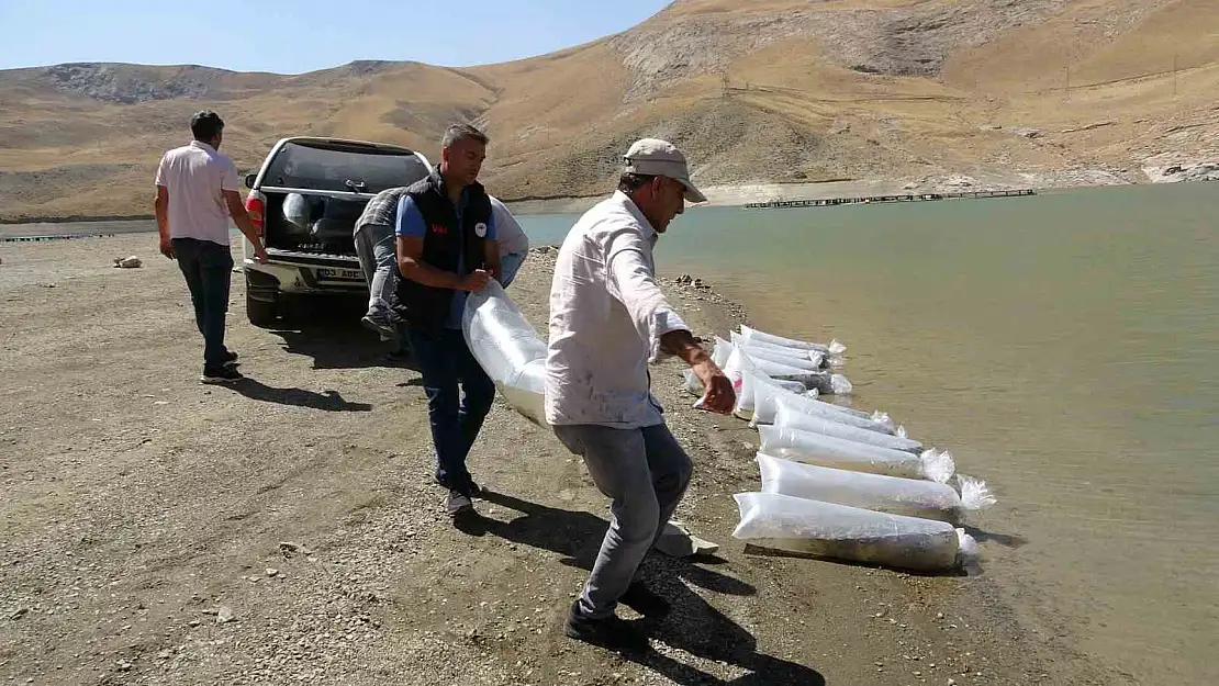 Van'da binlerce yavru sazan göllere bırakıldı