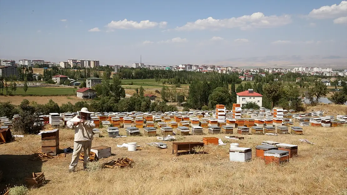 Muş'ta bu yıl balda yüksek rekolte bekleniyor