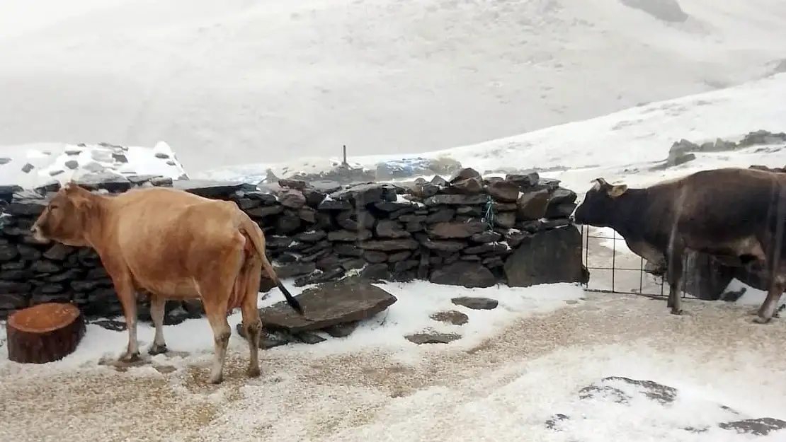 Kars'ın yaylaları beyaza büründü