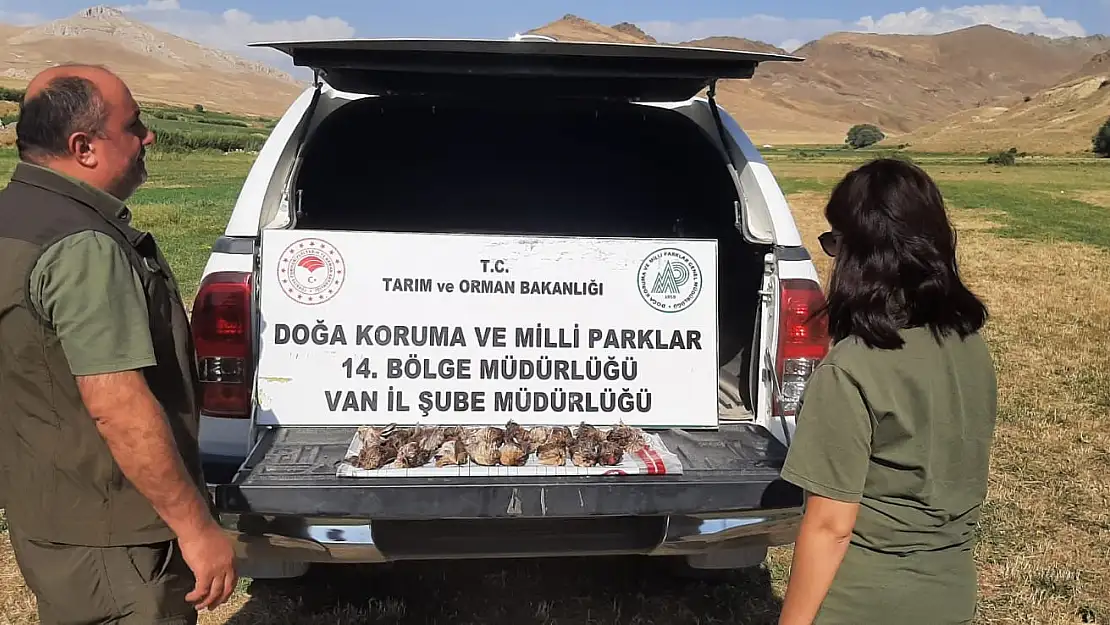 Van'da limit aşımı yapan 3 avcıya cezai işlem uygulanacak