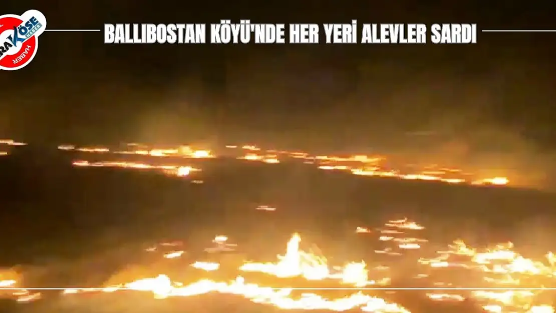 Ballıbostan Köyü'nde her yeri alevler sardı