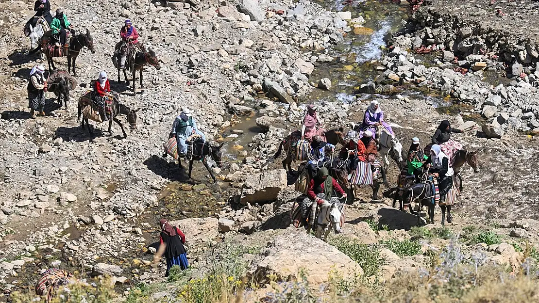 Van'da berivanlar her gün zorlu yayla yolunu tutuyor