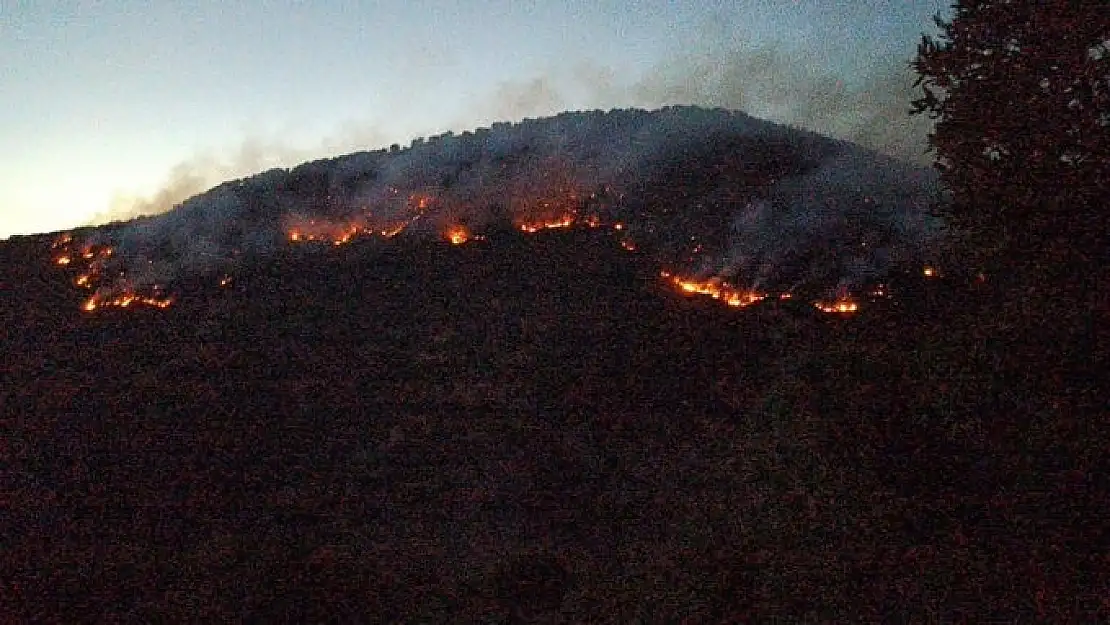 Bitlis'te çıkan orman yangınları kontrole alındı