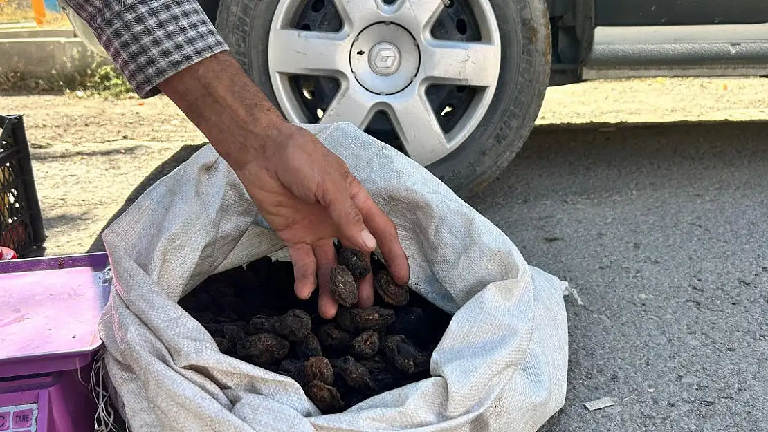 Kağızman Bahçelerinden Ağrı Sofralarına Uzanan Doğallık