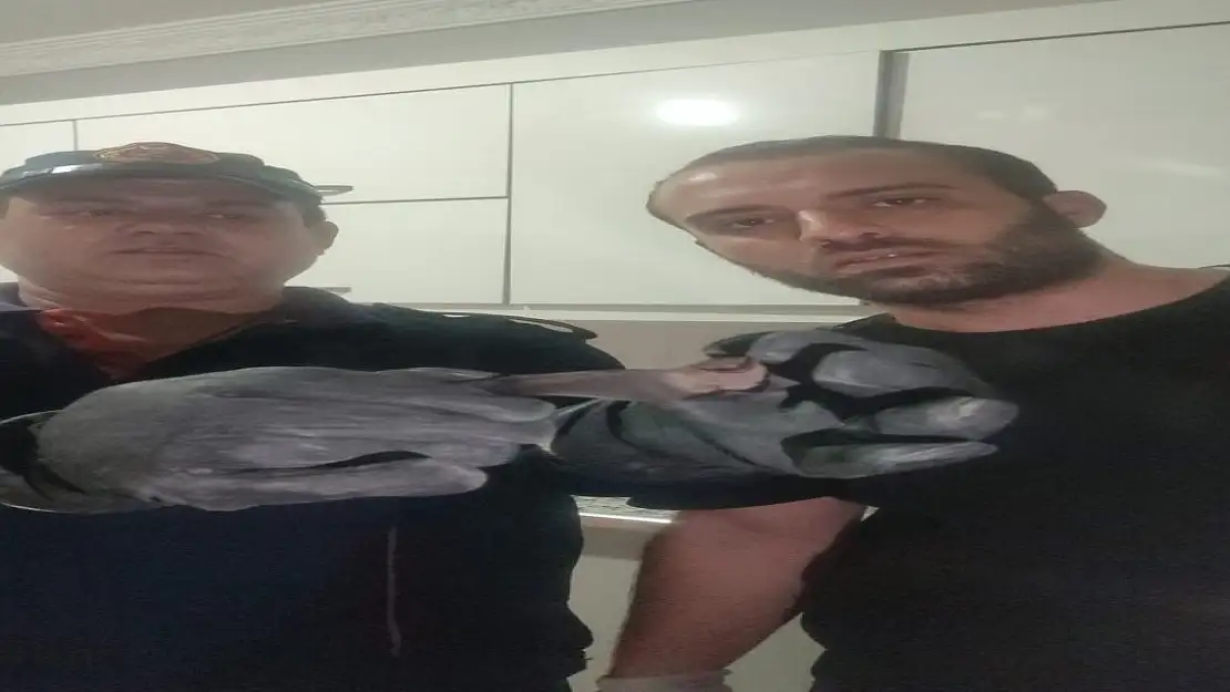Ağrı'da 'Yarasa' Operasyonu