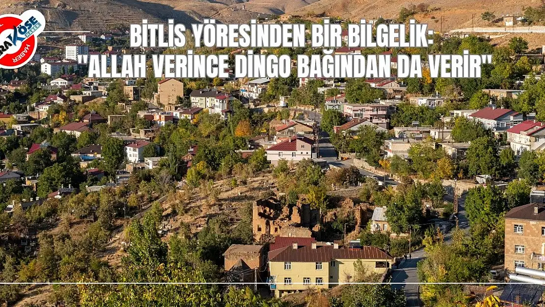 Bitlis Yöresinden Bir Bilgelik: 'Allah Verince Dingo Bağından da Verir'