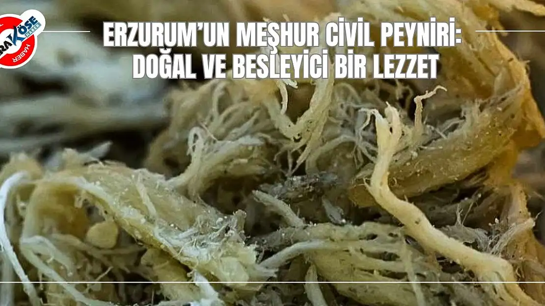 Erzurum'un Meşhur Civil Peyniri: Doğal ve Besleyici Bir Lezzet