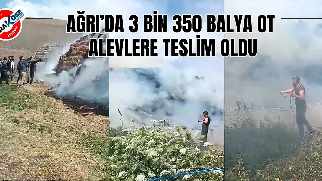 Ağrı'da 3 Bin 350 Balya Ot Alevlere Teslim Oldu