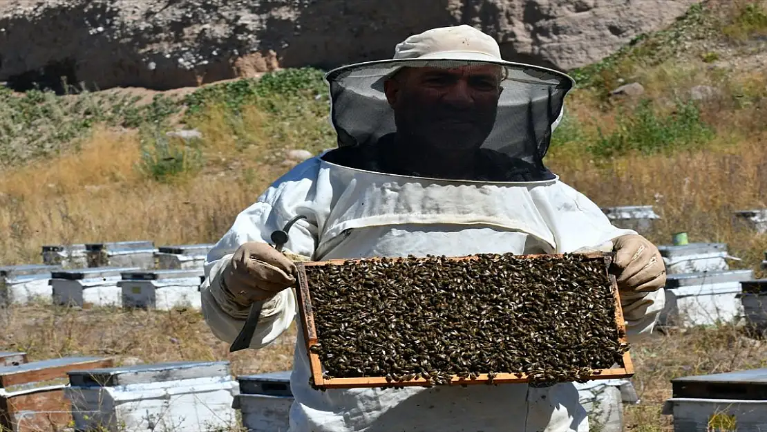 Kars'ta Yüksek Verimli Bal Hasadı