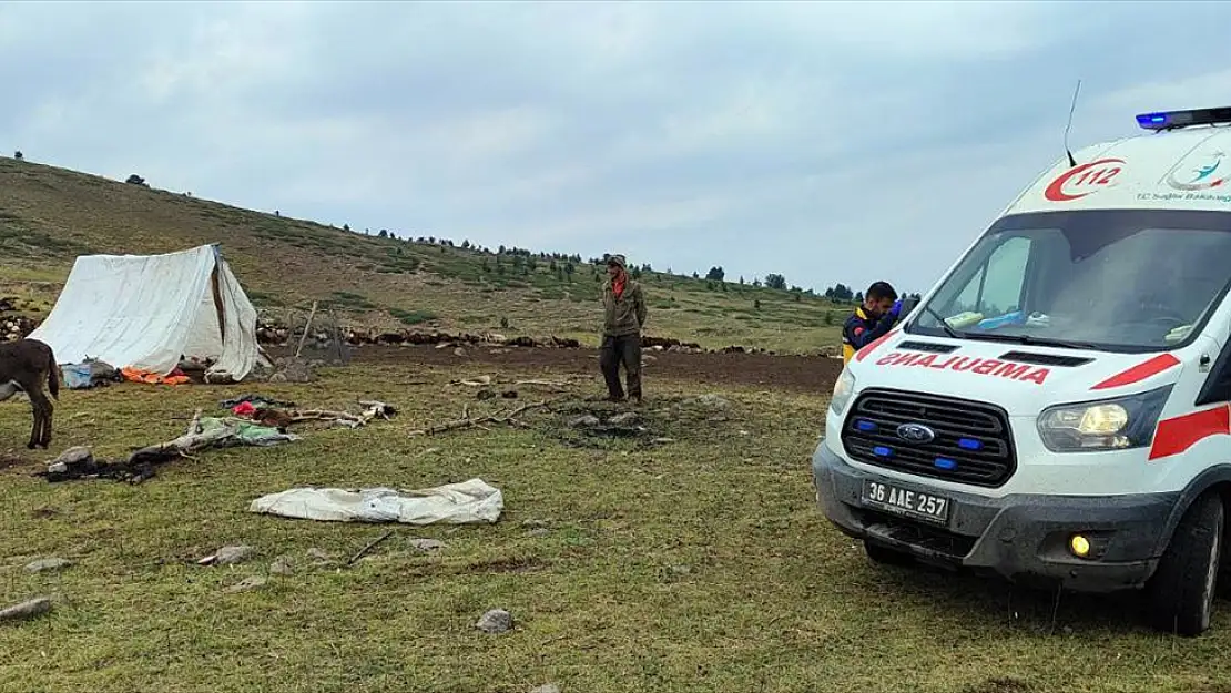 Kars'ta yıldırım düştü: 2 çoban yaralandı