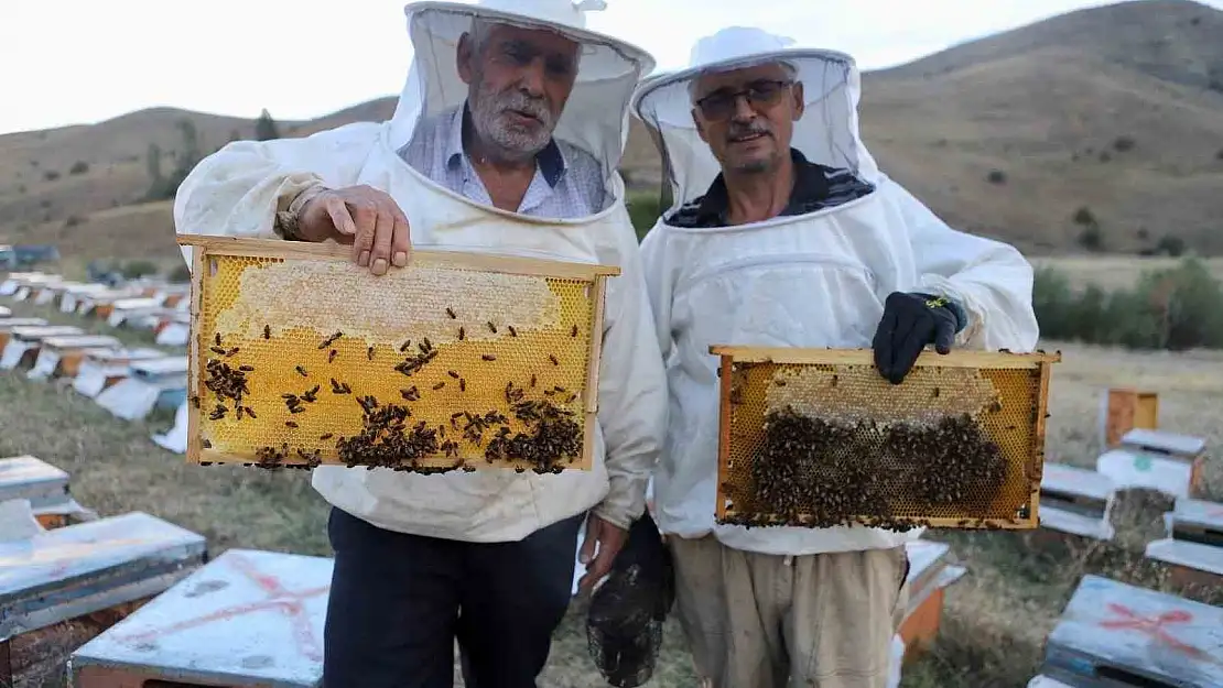 Hobi olarak başladıkları arıcılıkta 7 ton bal ürettiler