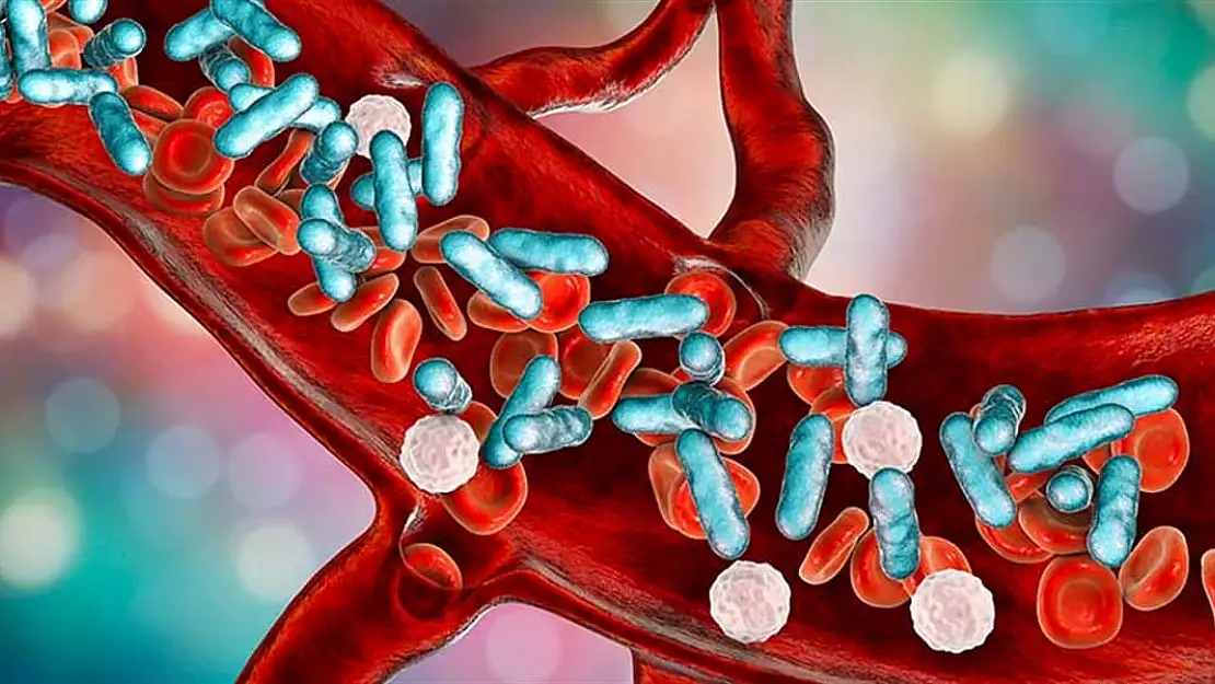 Sepsis farkındalığı hayat kurtarıyor
