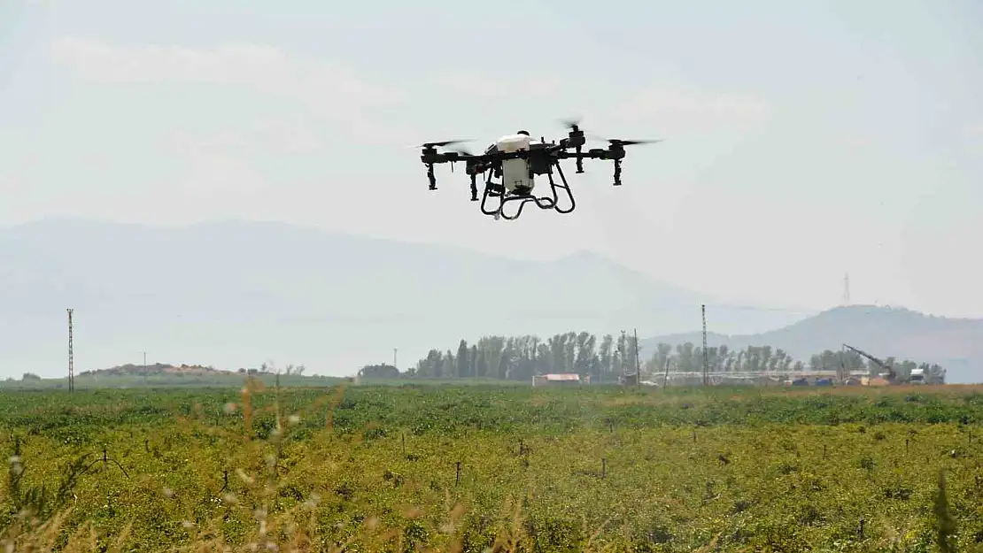 Bitlis'te çekirgelere dronla mücadele