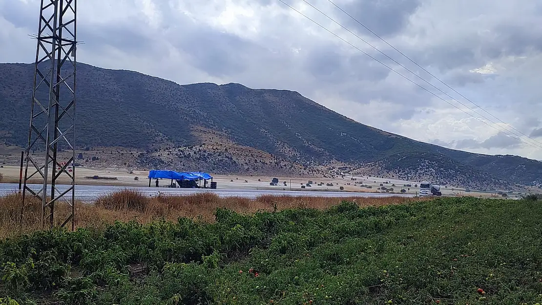 Bitlis'i dolu vurdu: Ekinler zarar gördü