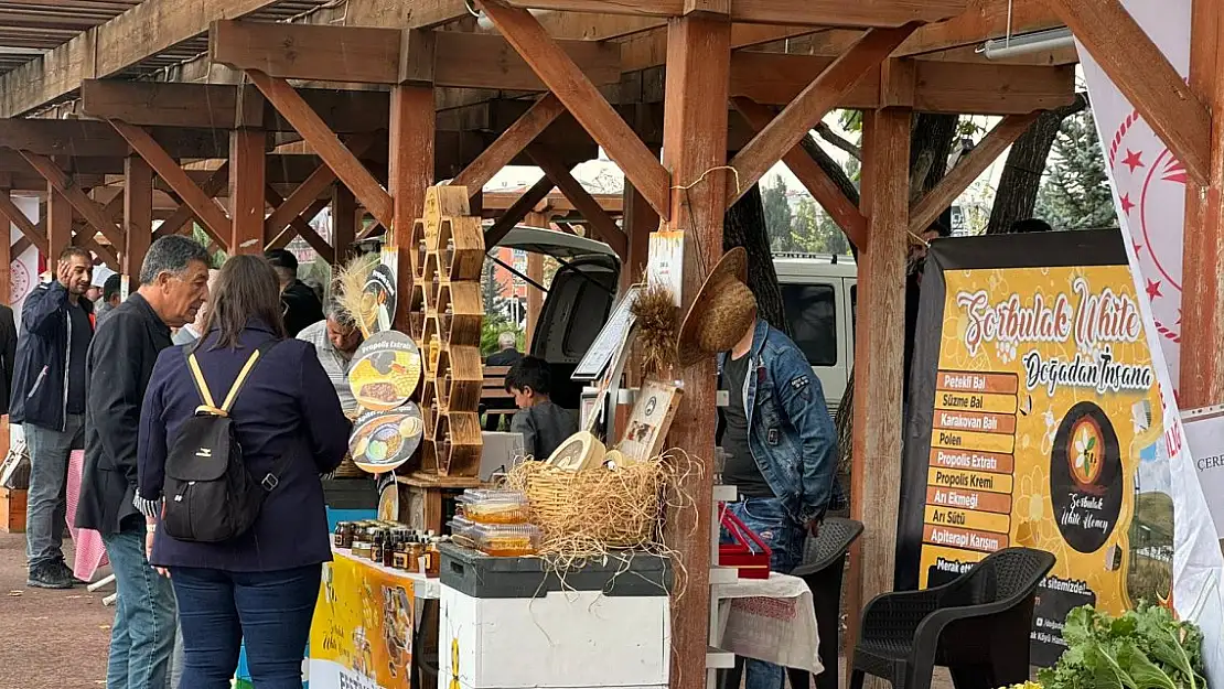 Arıcıları yağışlı hava vurdu