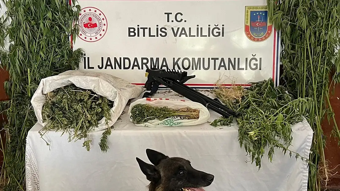 Bitlis'te uyuşturucu operasyonu
