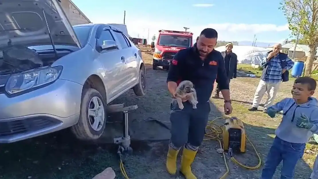 Ağrı'da yavru köpek aracın altında kaldı