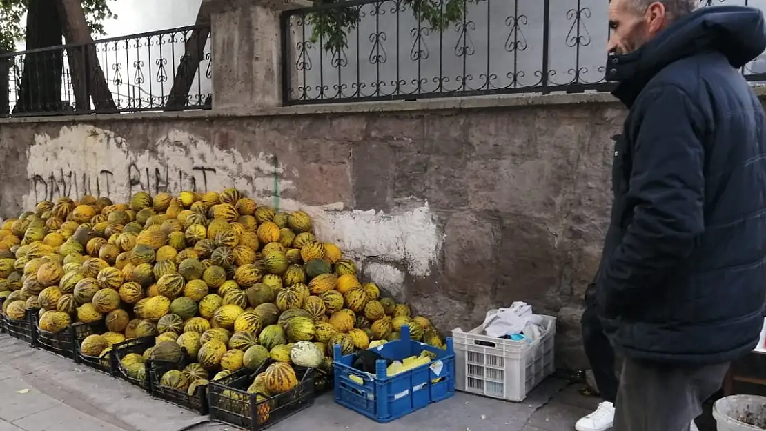 Ağrı'da Kavun (Kırre) Sezonu başladı