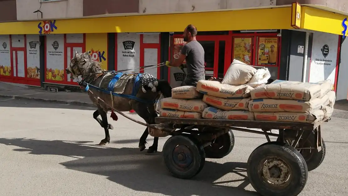 Ağrı'da at arabalarına ilgi arttı