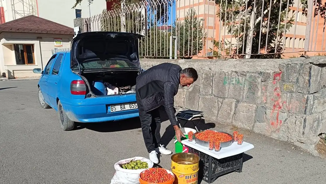 Ağrı'da Sonbaharın Lezzeti: Alıçlar kısa süre piyasada