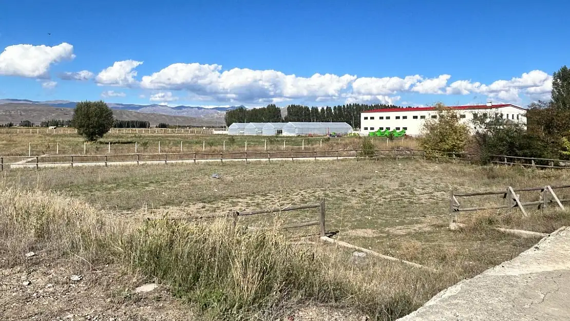 Ağrı TRT Park'da at kalmadı