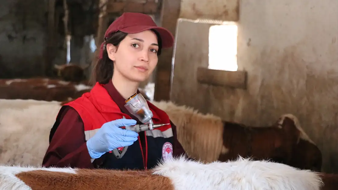 Erzurum'da kadın veterinerler kırsalda hayvanları koruyor