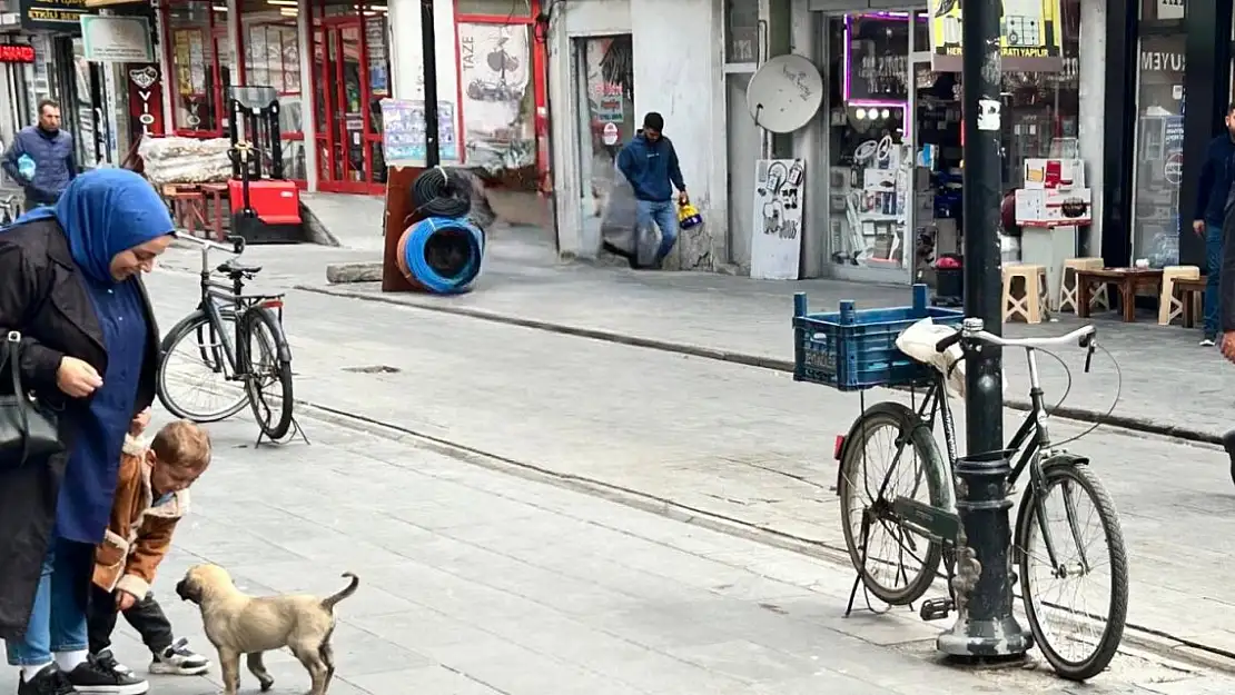 Sokak Köpeği Gofret caddenin maskotu oldu