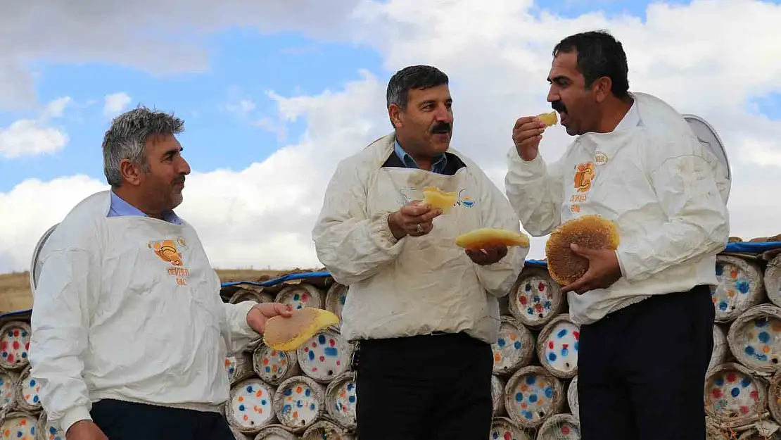 Van'da son yılların en verimli bal hasadı yapılıyor