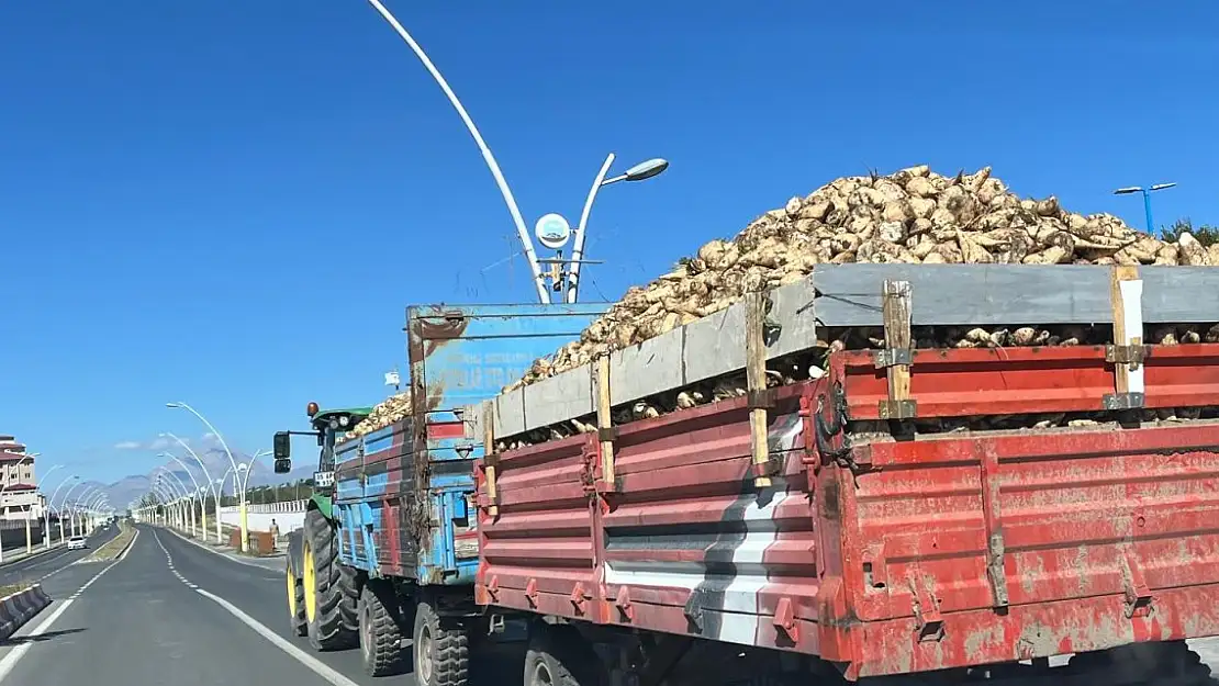 Ağrı'da Şeker Pancarının Fabrikaya Yolculuğu Sürüyor