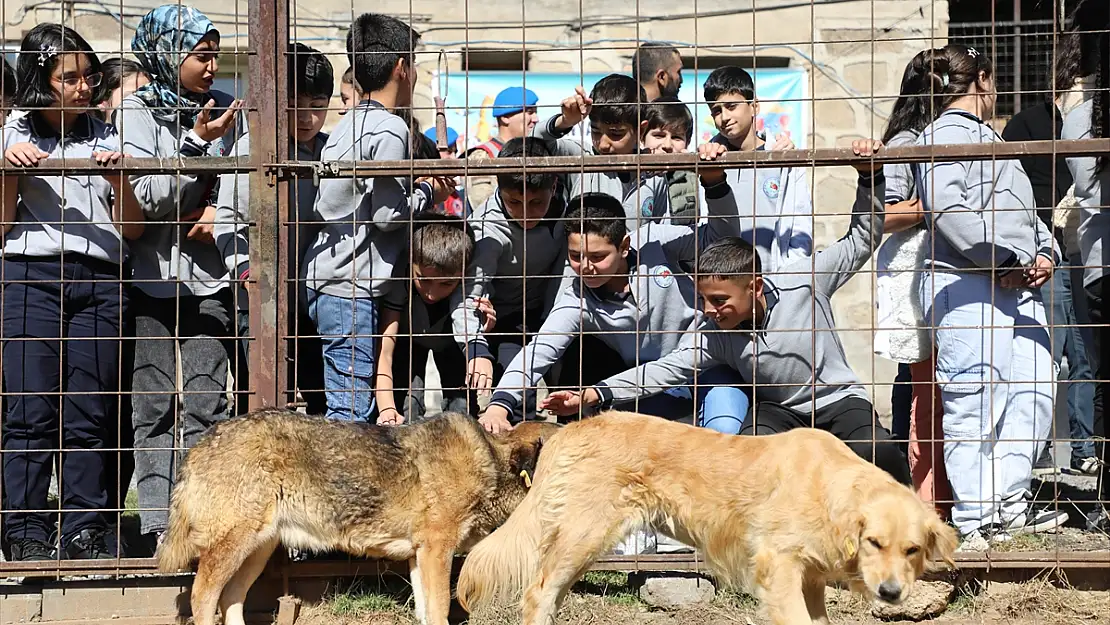 Bitlis'te Hayvanları Koruma Günü'nde öğrenciler barınağı ziyaret etti