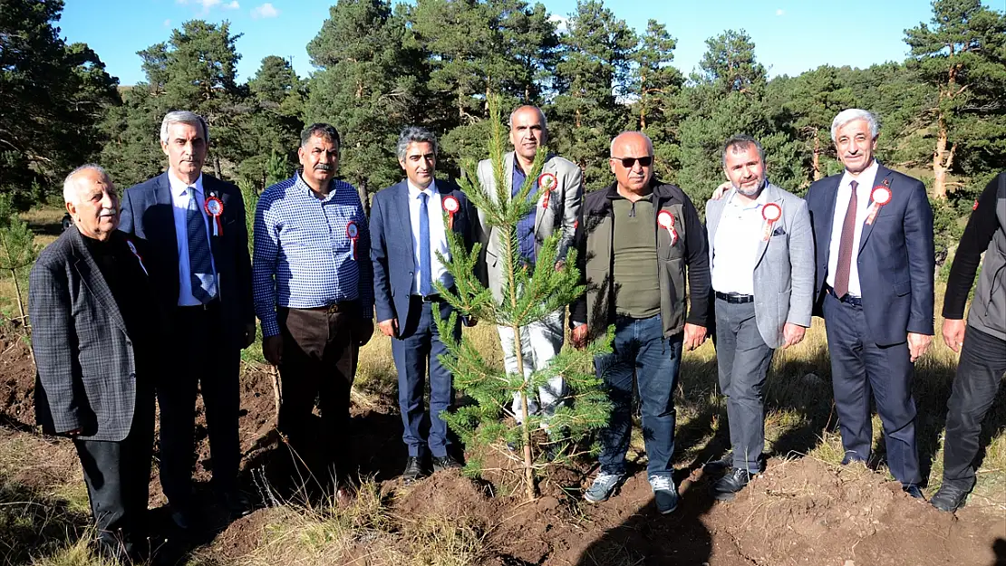 Kars'ta Sarıkamış ve Çanakkale şehitleri anısına bin fidan toprakla buluştu