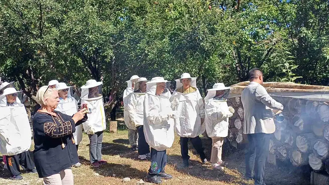 Van'da turistler bal hasadı yaptı