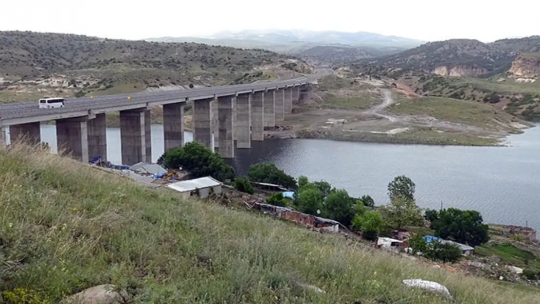 Kars'ta Bulunan Karakurt HES Barajı'nda Domuz Sürüsü Gözlemlendi